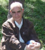Dan Zamfirescu